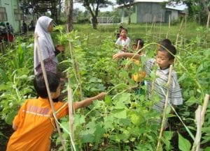 Pupuk Tanaman yang Cocok untuk Berkebun