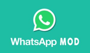 3 Tips agar Privasi WhatsApp Terjaga 