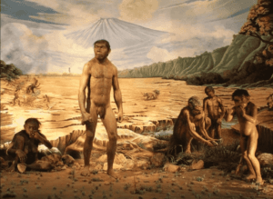 Manusia Purba Indonesia Bertahan Hidup dengan Cara?